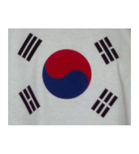 Südkorea Fahne