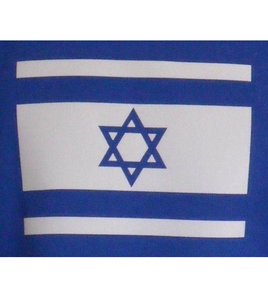 Israel Sweatshirt blau