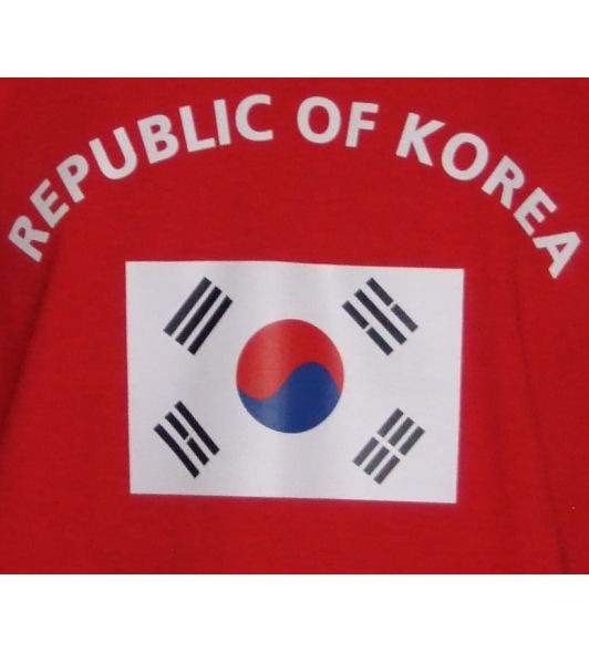 Südkorea Hoodie P