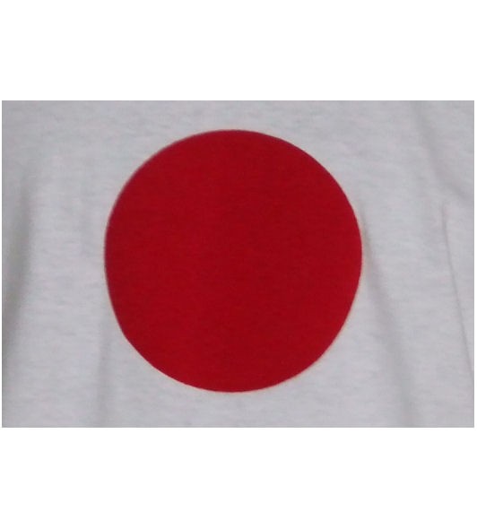 Japan Sweatshirt