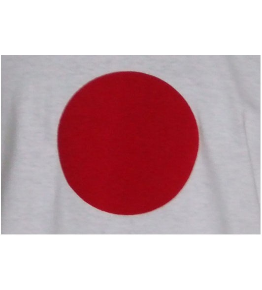 Japan Hoodie