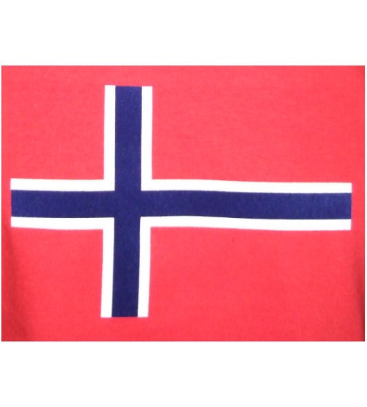 Norwegen Hoodie