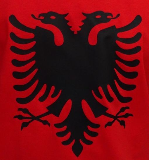 Albanien Hoodie